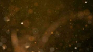 Gold Partikel abstrakt Hintergrund mit golden leuchtenden Sterne Staub Bokeh funkeln Auszeichnungen Staub. futuristisch glänzend fliegen Bewegung flackern Schleife im Raum auf schwarz Hintergrund. video