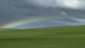 Rainbow in Endless Vast Empty Green Meadow video