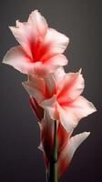 Gladioli gladiolus photo wallpaper background. AI Generated