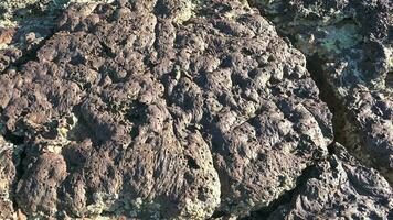 Solidified Igneous Lava Rock video