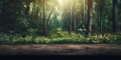 View of tall trees tropical natural forest, photo