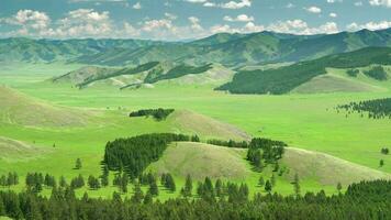 Green Meadows in The Sparsely Wooded Between Forest Covered Hills video