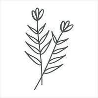 Botanical leaf doodle wildflower line art vector