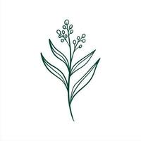 botanical leaf doodle wildflower line art vector