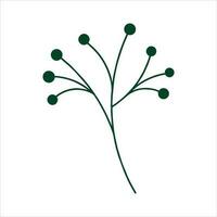 Botanical leaf doodle wildflower line art vector