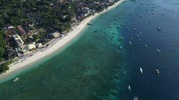 calme plage vert l'eau et corail sous-marin video