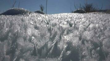 Sharp Rime Ice Crystals and Fragile Thin Hoar Frost in Sunny Winter Day video