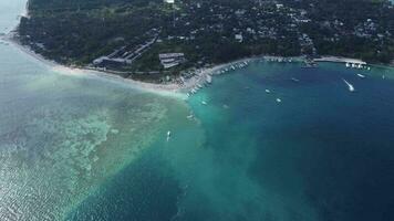 calme plage vert l'eau et corail sous-marin video