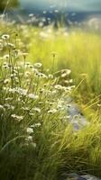 Meadow white flower and grass background. AI Generated photo