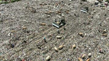 Aerial view of a city dump center full of trash. Herd of cows eating garbage in a landfill. Ecology and health issues. video