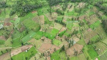 aereo Visualizza di terrazzato verdura piantagione su tambi collina accanto montare sindoro, wonosobo, centrale Giava, Indonesia video