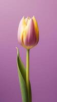 Pink tulip flower copy space blurred background. AI Generated photo