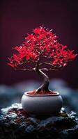 bonsai rojo árbol fondo de pantalla antecedentes. ai generado foto