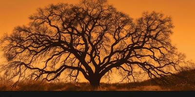 Dry tree silhouette background. AI Generated photo