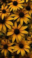 Black eye susan flower blurred background. AI Generated photo