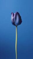 azul tulipán flor Copiar espacio borroso antecedentes. ai generado foto