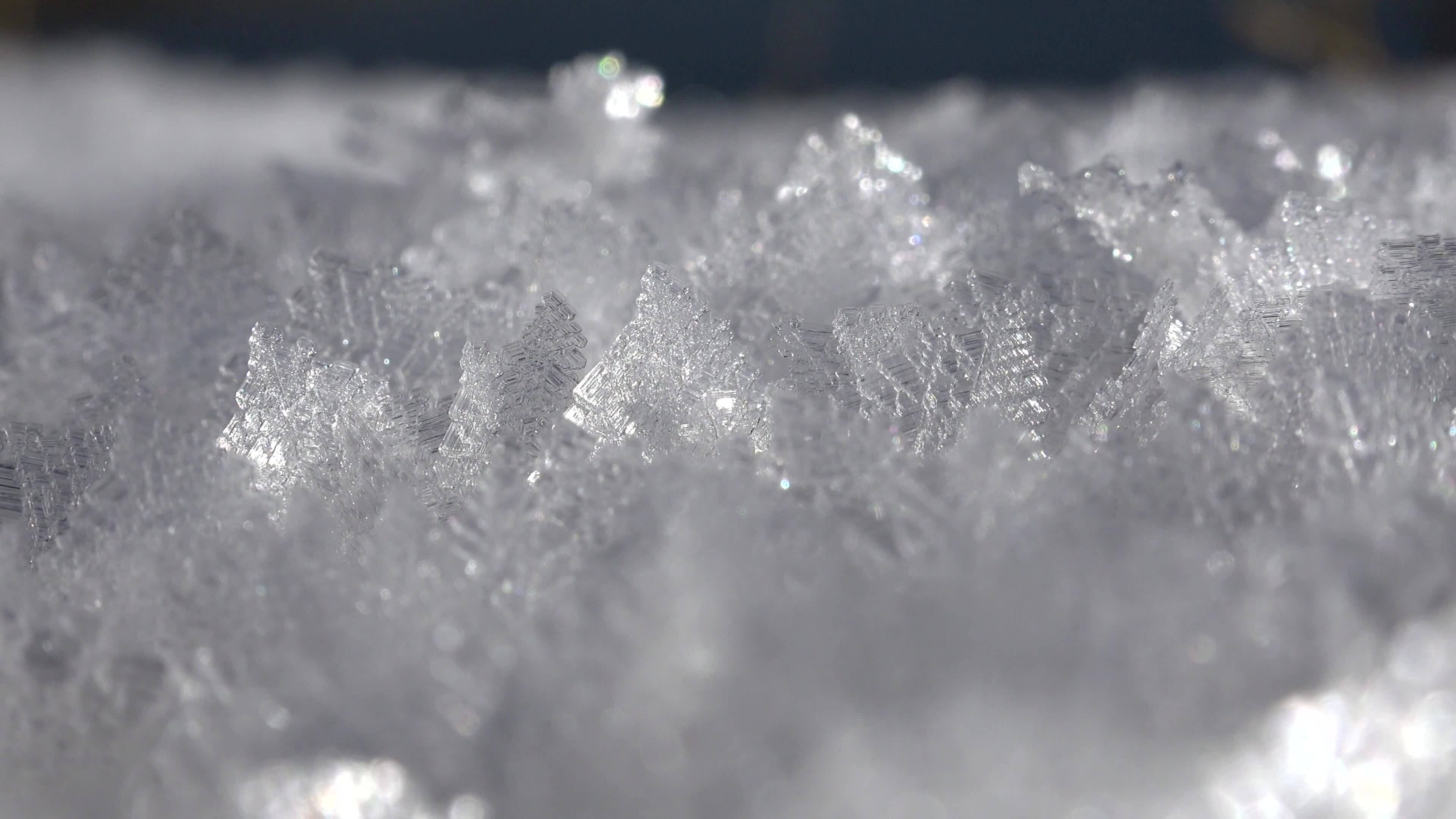 Rime Ice Crystals and Hoar Frost Covered on Ground in Sunny Winter Day,  Nature Stock Footage ft. floor & frozen - Envato Elements