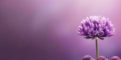 Beauty Arctostaphylos urva ursi flower, garden decoration, copy space blurred background, AI Generated photo