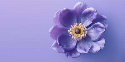 Beauty anemon Flower on Beautiful Blurred Background, AI Generated photo