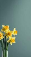 Yellow daffodil flower  blurred background. AI Generated photo