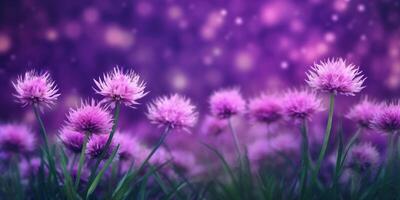 Beauty xeranthemum flower, garden decoration, copy space blurred background, AI Generated photo