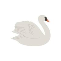 swan on the lake. Realistic hand drawn style illustration. vector