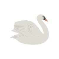 cisne en el lago. realista mano dibujado estilo ilustración. vector