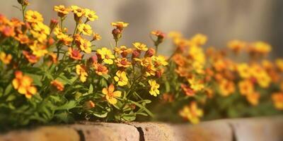 Beauty wallflower, garden decoration, copy space blurred background, AI Generated photo