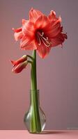 amarylli flor hippeastrum borroso antecedentes. ai generado foto