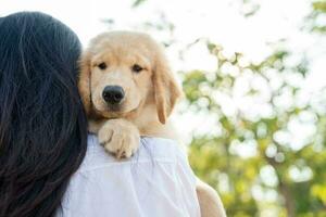 Woman embracing holding Golden Retriever puppy in park and looking at camera photo