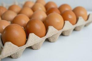 Fresco pollo huevos en un papel huevo caja de cartón. natural sano comida y orgánico agricultura concepto, huevos en un caja foto