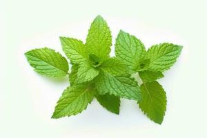 Mint leaves isolated on white background. Generative AI photo