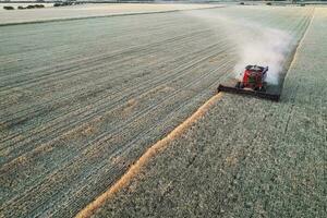 Barley harvest aerial view, in La Pampa, Argentina. photo