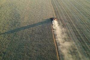 Wheat harvest in the Argentine countryside, La Pampa province, Patagonia, Argentina. photo