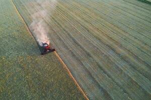 Wheat harvest in the Argentine countryside, La Pampa province, Patagonia, Argentina. photo