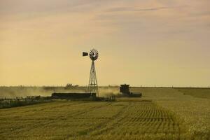 Harvester machine, harvesting in the Argentine countryside, Buenos Aires province, Argentina. photo