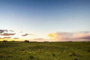 Landscape in La Pampa Argentina at sunset, La Pampa province, Patagonia, Argentina. photo