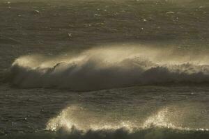 Waves with strong wind after a storm, Patagonia, Argentina. photo