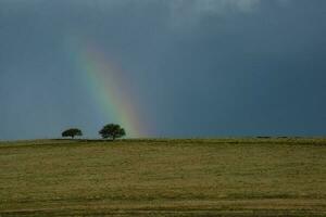 Threatening storm clouds, Pampas, Patagonia, Argentina photo