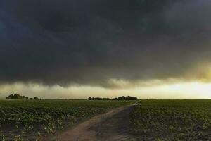 Threatening storm clouds, Pampas, Patagonia, Argentina photo