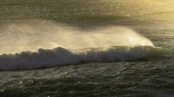 Waves with strong wind after a storm, Patagonia, Argentina. photo