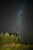 Pampas landscape photographed at night with a starry sky, La Pampa province, Patagonia , Argentina. photo