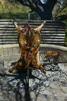 Lamb on the spit, cooked with the traditional Argentine method, La Pampa province, Patagonia, Argentina. photo