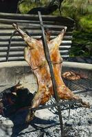 Lamb on the spit photo