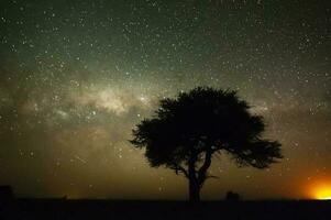 pampa paisaje fotografiado a noche con un estrellado cielo, la pampa provincia, Patagonia , argentina. foto