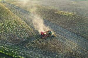 Wheat harvest in the Argentine countryside, La Pampa province, Patagonia, Argentina. photo