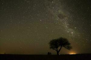 pampa paisaje fotografiado a noche con un estrellado cielo, la pampa provincia, Patagonia , argentina. foto