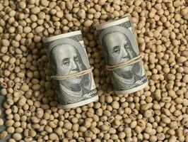 Dollars banknotes and coins and soy beans,oleaginous commoditi value concept. photo