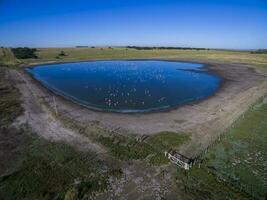 Pampas lagoon, aerial view photo