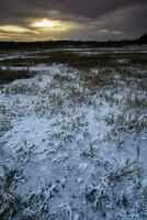 Saltpeter on the floor of a lagoon in a semi desert environment, La Pampa province, Patagonia, Argentina. photo